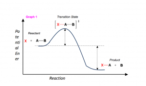 StudyOrgo.com - Graph 1