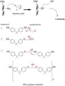 epoxide 3