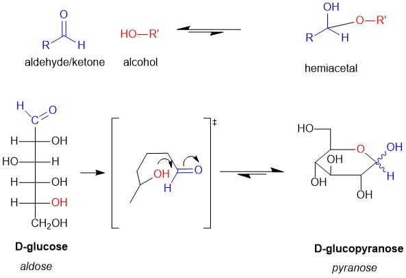 carbohydrate 2