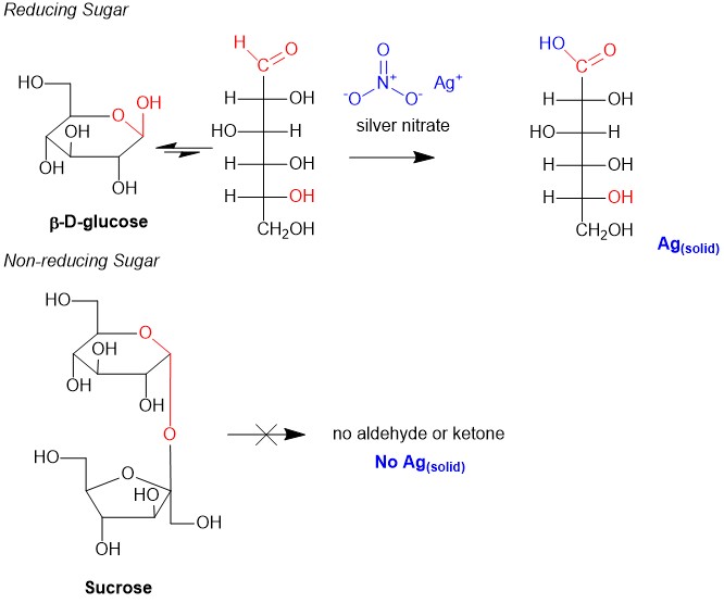 carbohydrate 4