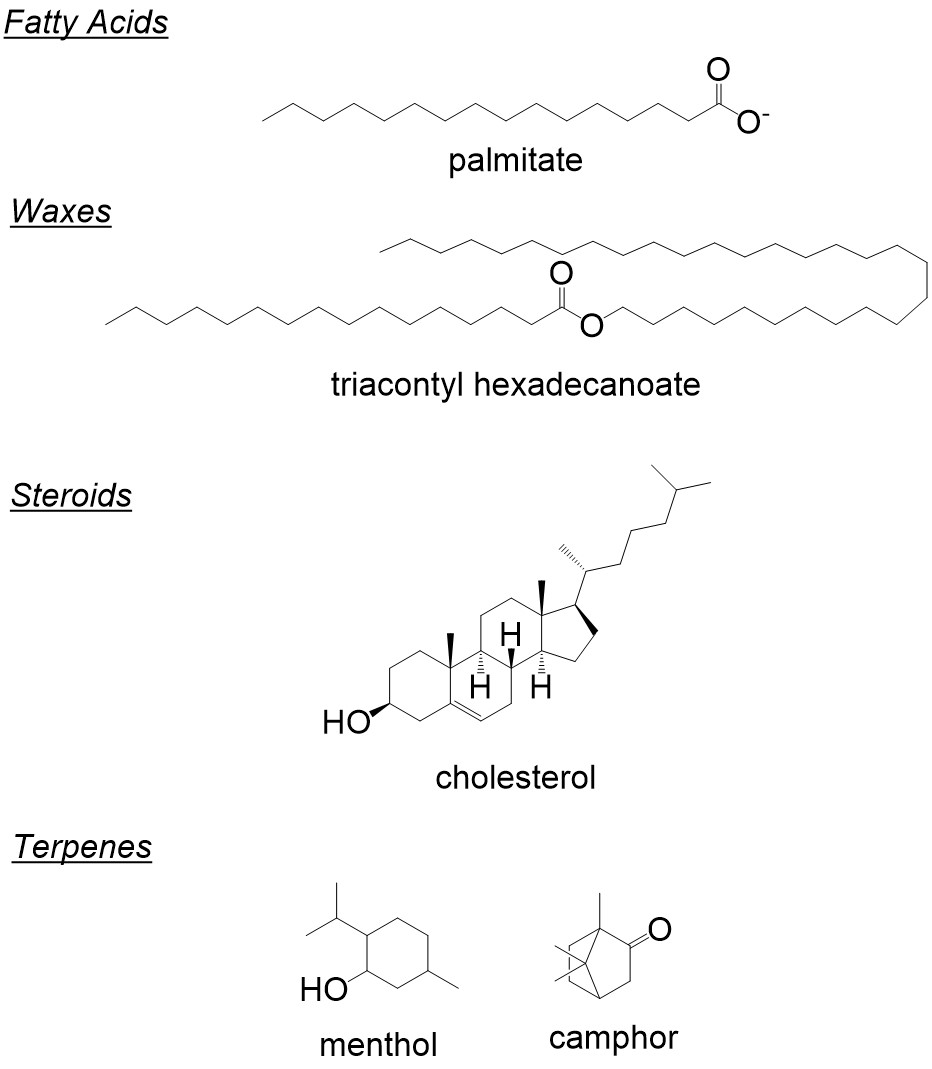 Organic Chemistry Of Lipids