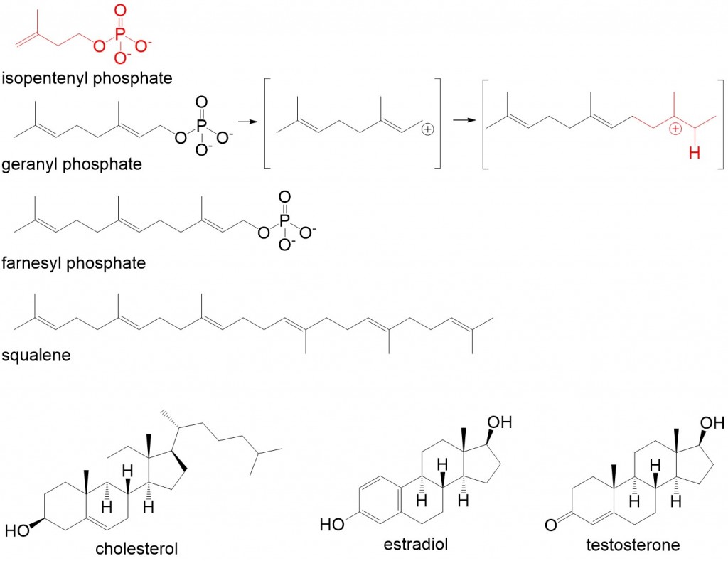 Lipid Figure 4