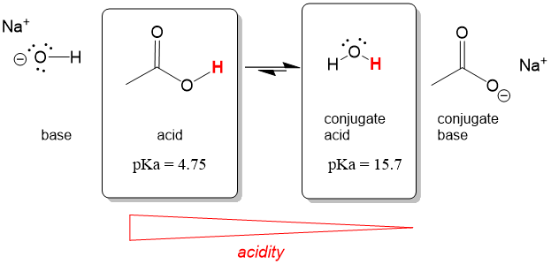 acids 3.jpg