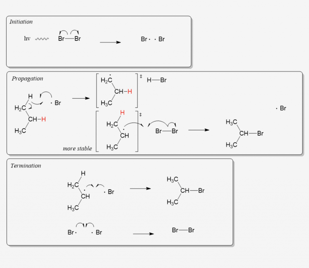 Organic Chemistry Quiz